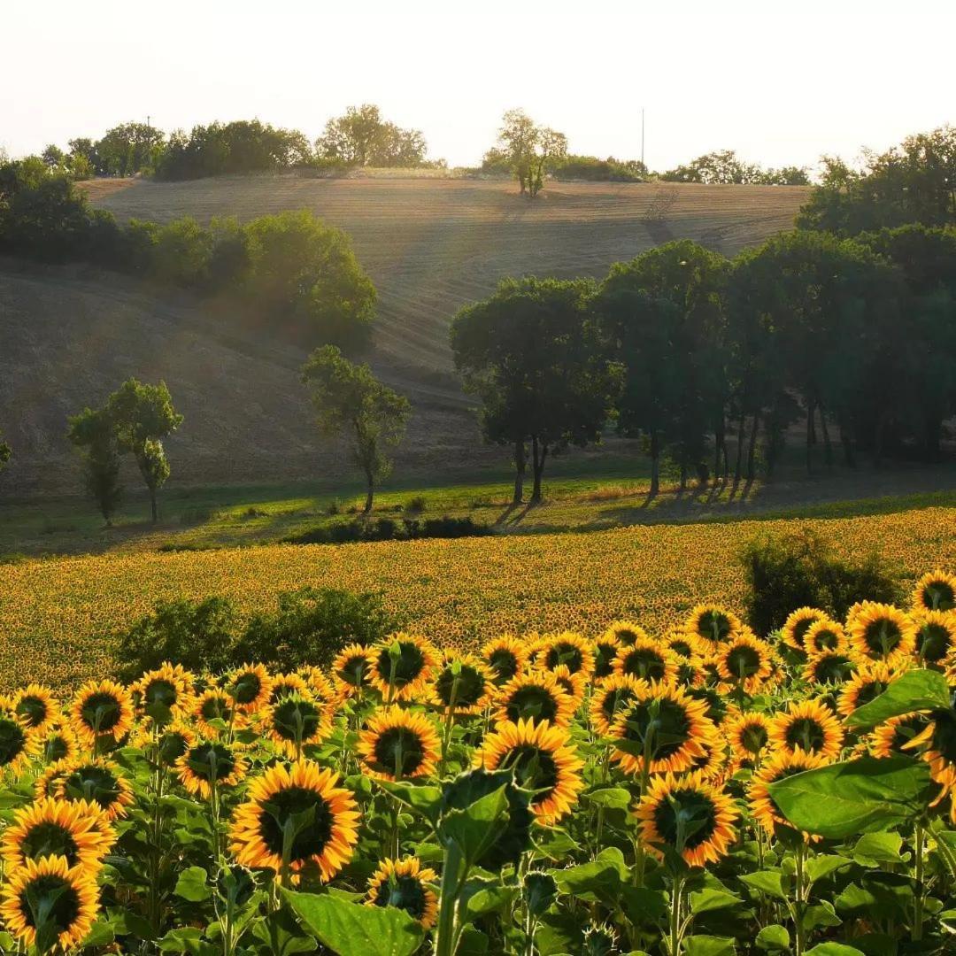 Bed and Breakfast La Bastide Lamillarie Экстерьер фото